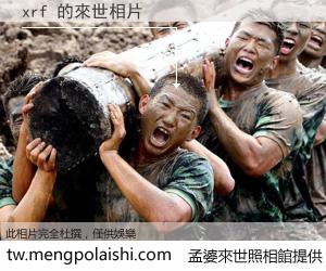 xrf 來世的未來相片