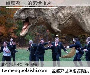 蟻鱒鳶ル 來世的未來相片