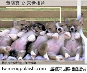董晓霞 來世的未來相片