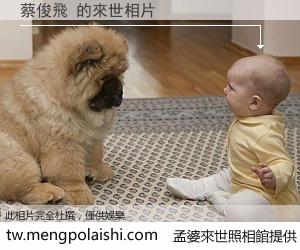 蔡俊飛 來世的未來相片