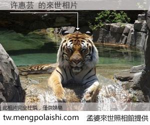 许惠芸 來世的未來相片