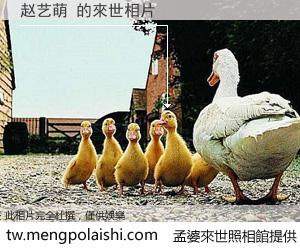 赵艺萌 來世的未來相片