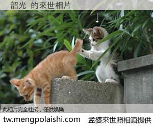 韶光 來世的未來相片