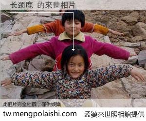 长颈鹿 來世的未來相片
