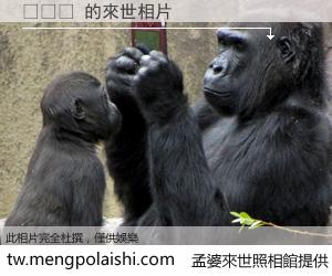 김일경 來世的未來相片