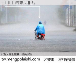 신료 來世的未來相片