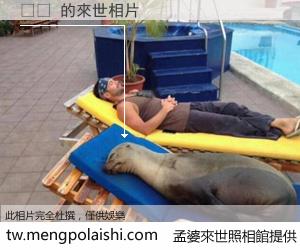 역애 來世的未來相片