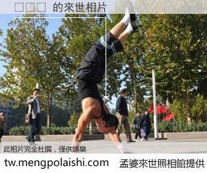 축생도 來世的未來相片