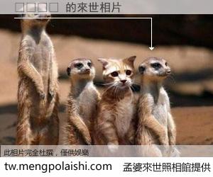 프리츠커 來世的未來相片