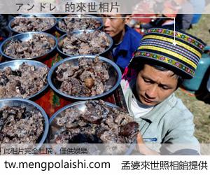 アンドレ 來世的未來相片