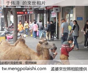 于伟泽 來世的未來相片