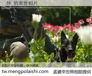 仲 來世的未來相片