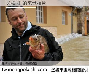 吴柏阳 來世的未來相片