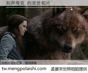 和声夸克 來世的未來相片