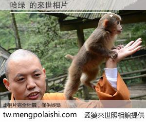 哈绿 來世的未來相片