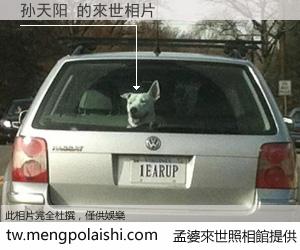 孙天阳 來世的未來相片
