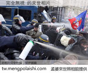 完全無視 來世的未來相片