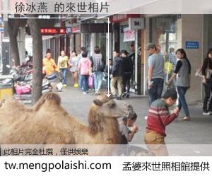 徐冰燕 來世的未來相片