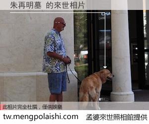 朱再明墓 來世的未來相片