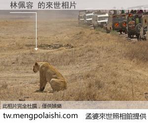 林佩容 來世的未來相片