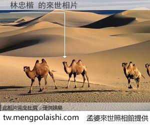 林忠楷 來世的未來相片