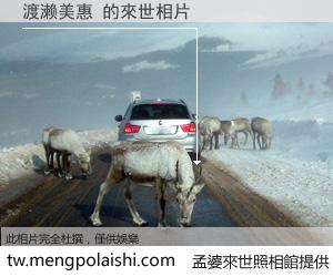 渡濑美惠 來世的未來相片