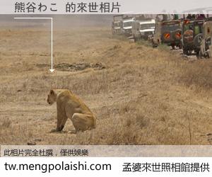 熊谷わこ 來世的未來相片