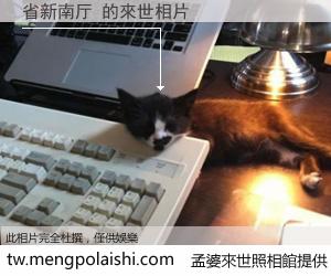 省新南厅 來世的未來相片