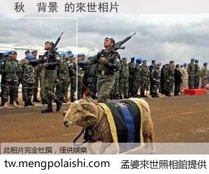 秋　背景 來世的未來相片