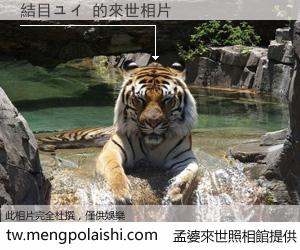 結目ユイ 來世的未來相片