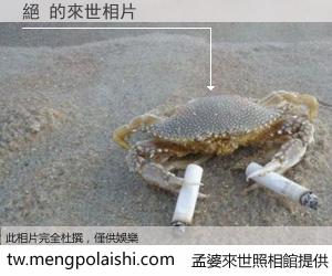 絕 來世的未來相片