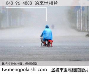 048-96-4888 來世的未來相片