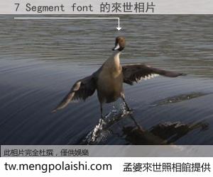 7 Segment font 來世的未來相片