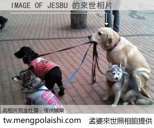 IMAGE OF JESBU 來世的未來相片