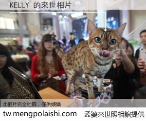 KELLY 來世的未來相片