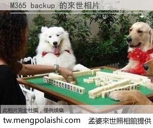 M365 backup 來世的未來相片