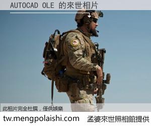 AUTOCAD OLE 來世的未來相片