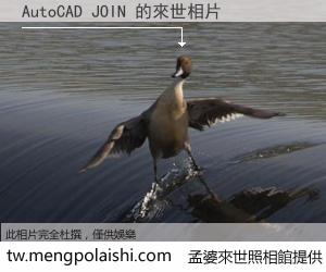 AutoCAD JOIN 來世的未來相片