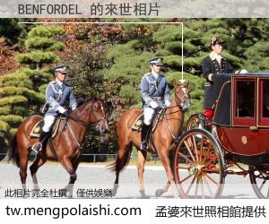 BENFORDEL 來世的未來相片