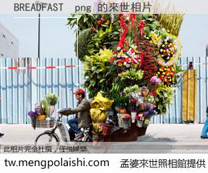 BREADFAST  png 來世的未來相片