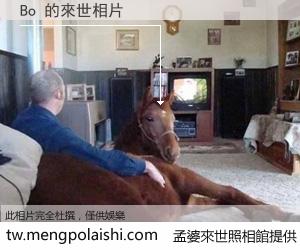 Bo 來世的未來相片