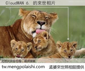 CloudWAN 6. 來世的未來相片