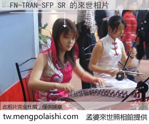 FN-TRAN-SFP SR 來世的未來相片