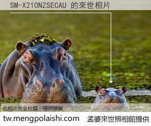 SM-X210NZSECAU 來世的未來相片