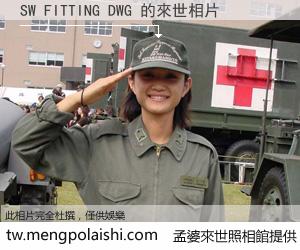 SW FITTING DWG 來世的未來相片