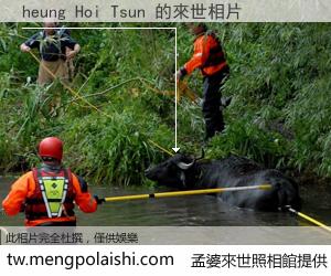 heung Hoi Tsun 來世的未來相片