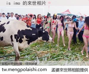 is imo 來世的未來相片