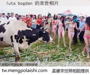 luta bogdan 來世的未來相片