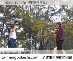 m3ph to cfm 來世的未來相片