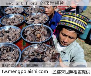 met art flora 來世的未來相片